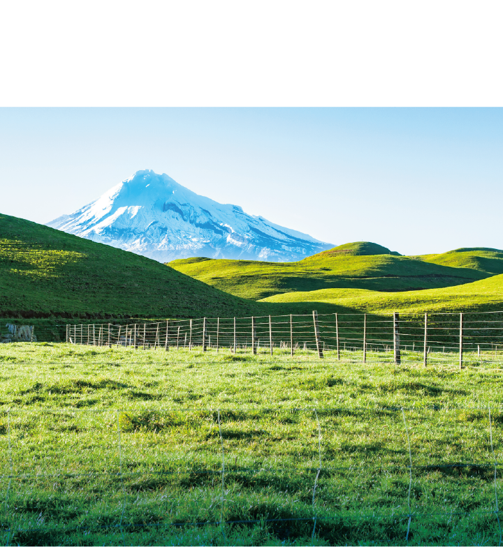 氣候與地形紐西蘭獨有的環境禮物