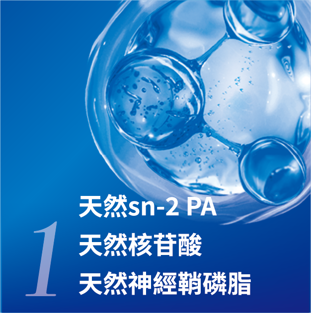 1.天然sn-2 PA,天然核苷酸,天然神經鞘磷脂