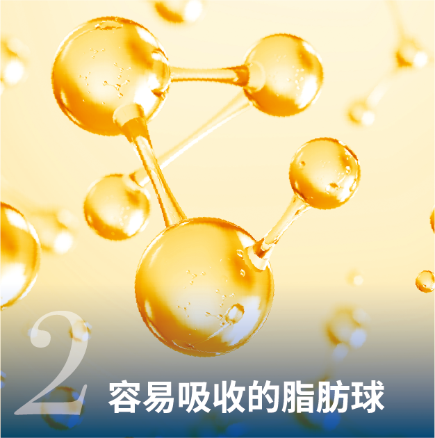2.容易吸收的脂肪球