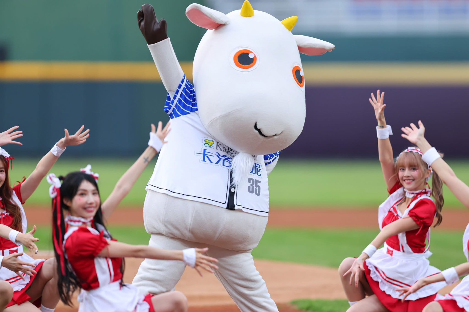 卡洛塔妮小羊與樂天女孩共舞，「媽媽ㄚ」旋律喚起全場共鳴