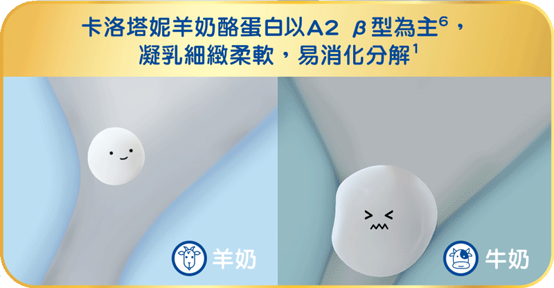 卡洛塔妮羊奶酪蛋白以A2 β型為主，凝乳細緻柔軟，易消化分解‧