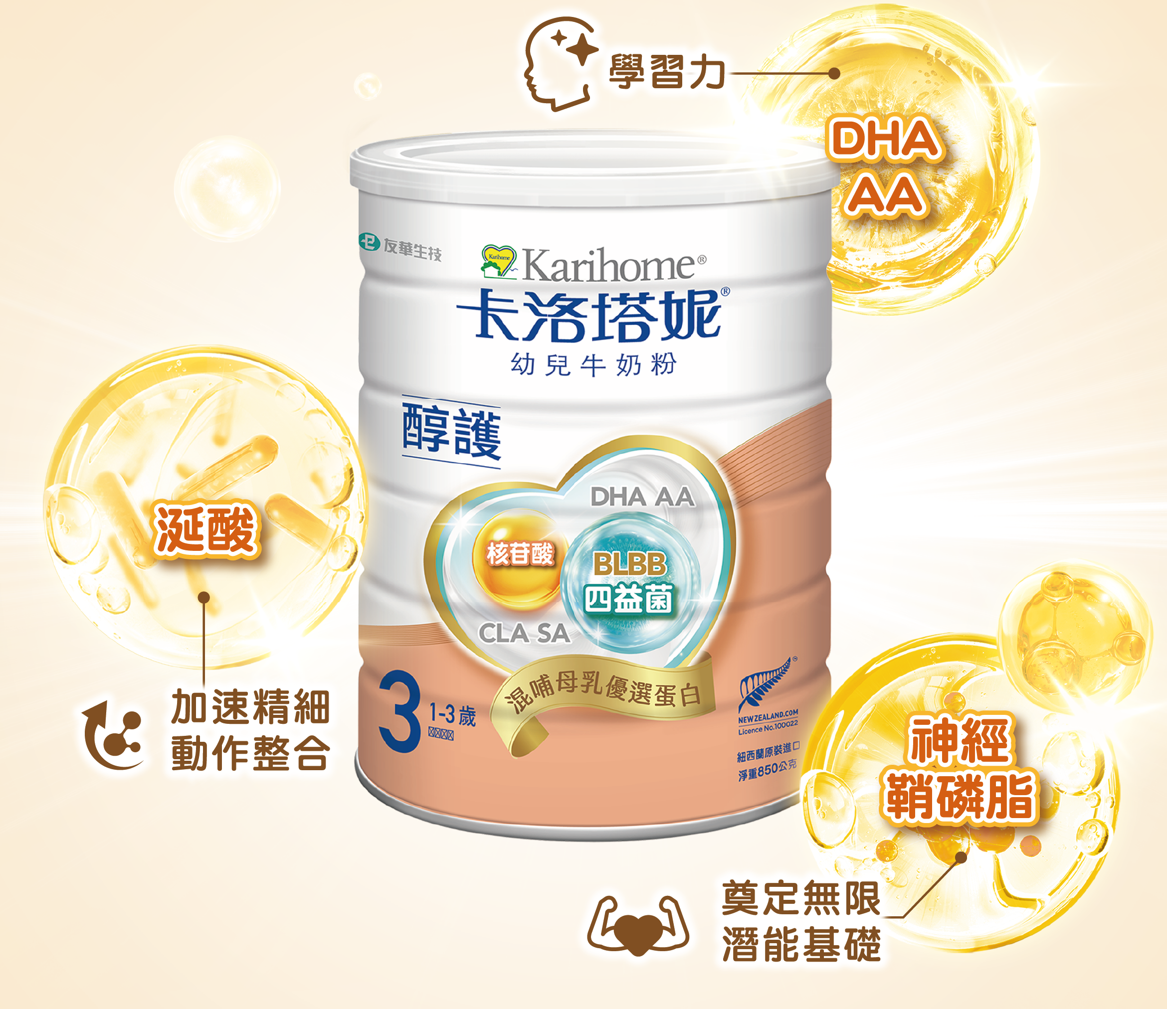 涎酸、DHA、AA、神經鞘磷脂