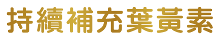 持續補充葉黃素