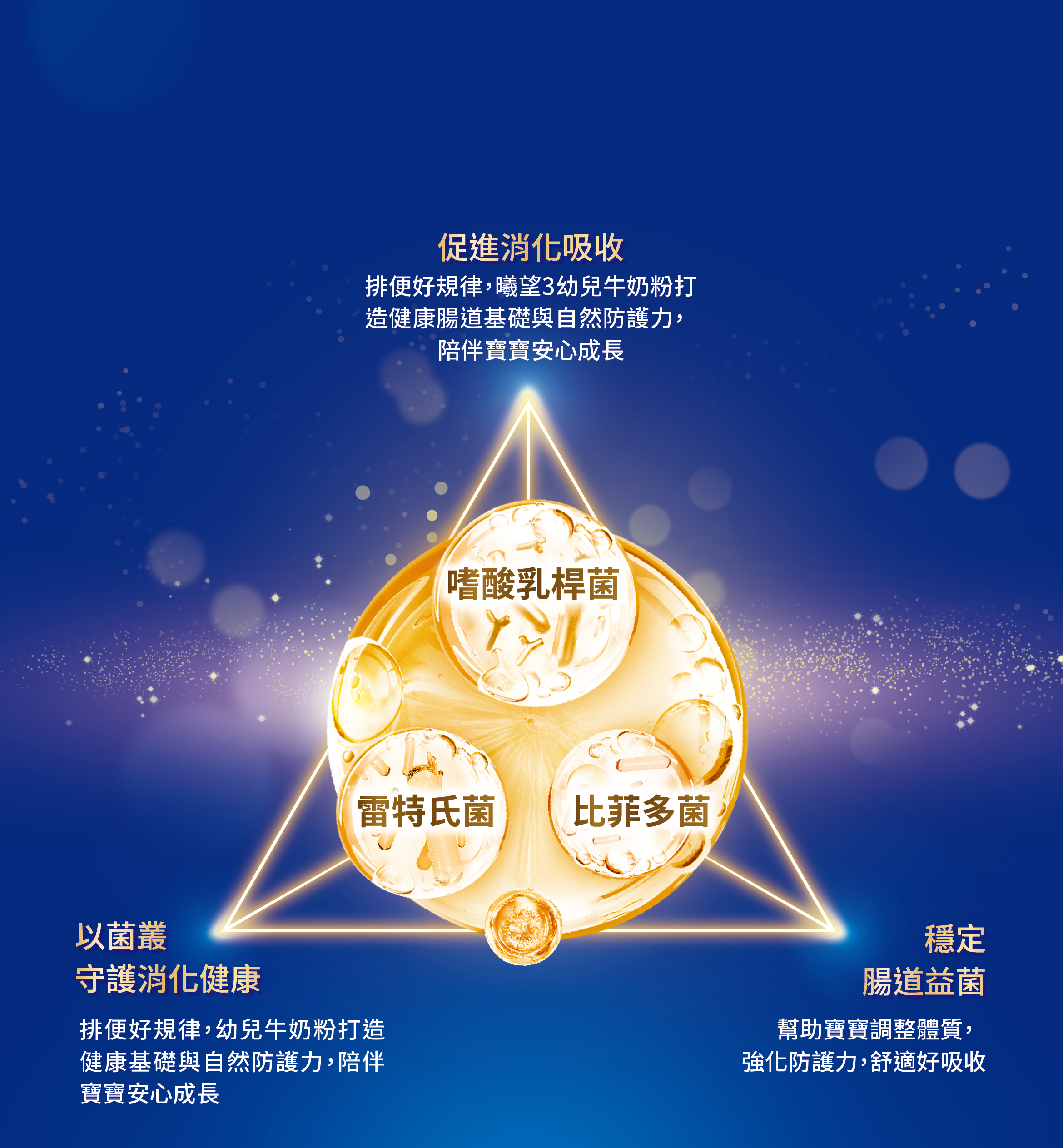 促進消化吸收 以菌叢守護消化健康 穩定腸道益菌