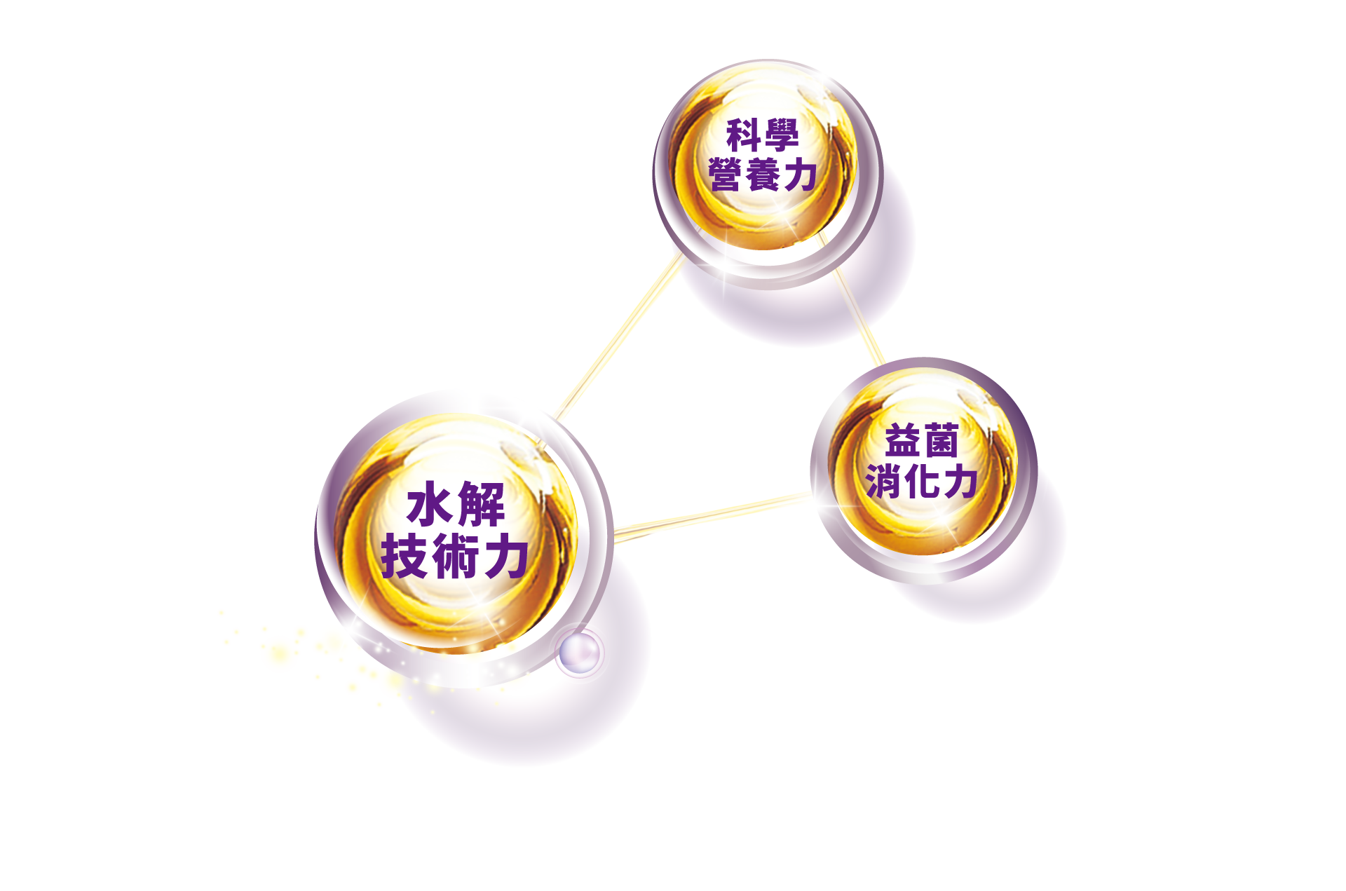 科學營養力 水解技術力 益菌消化力