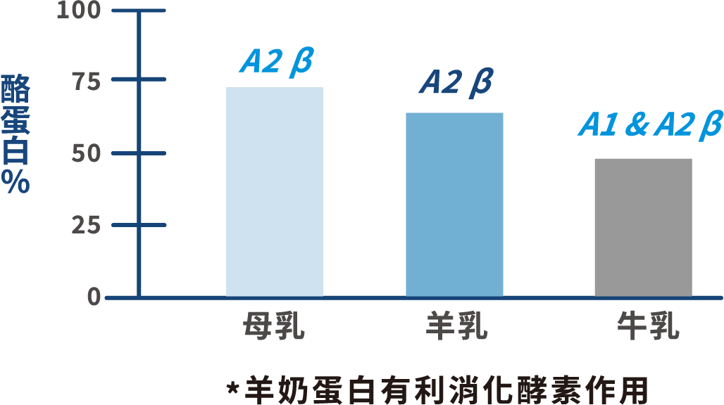 *羊奶蛋白有利消化酵素作用