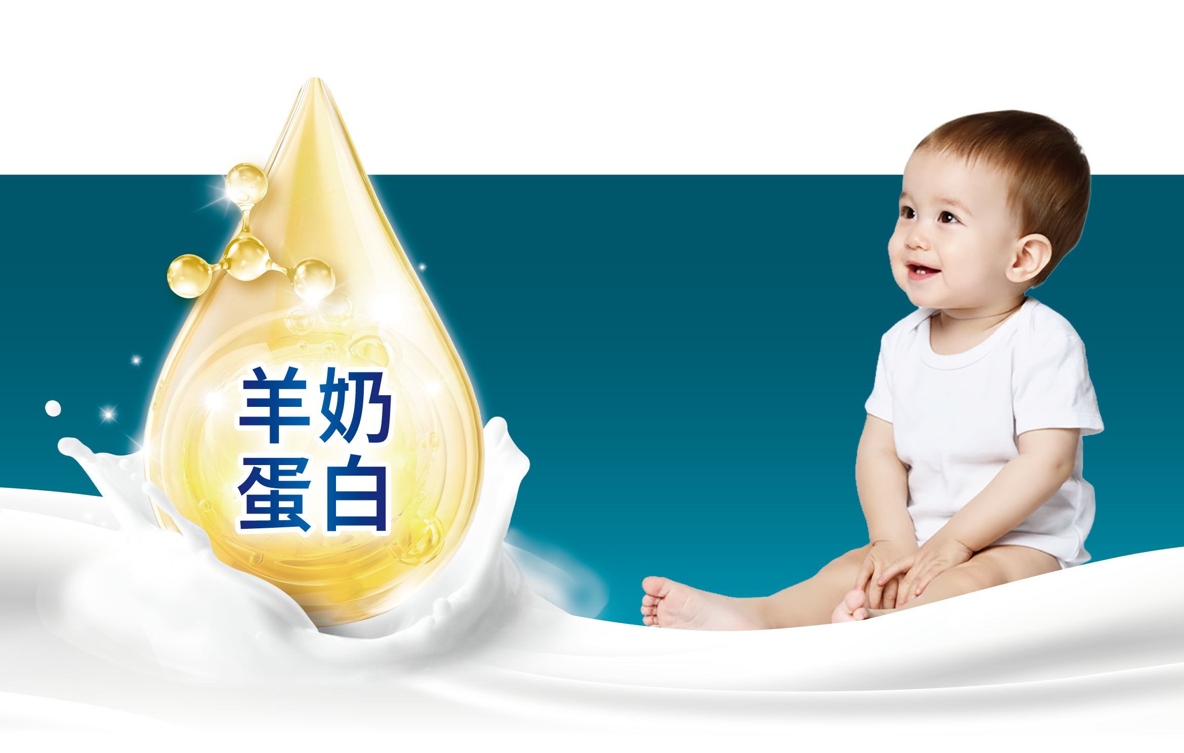 羊奶蛋白
