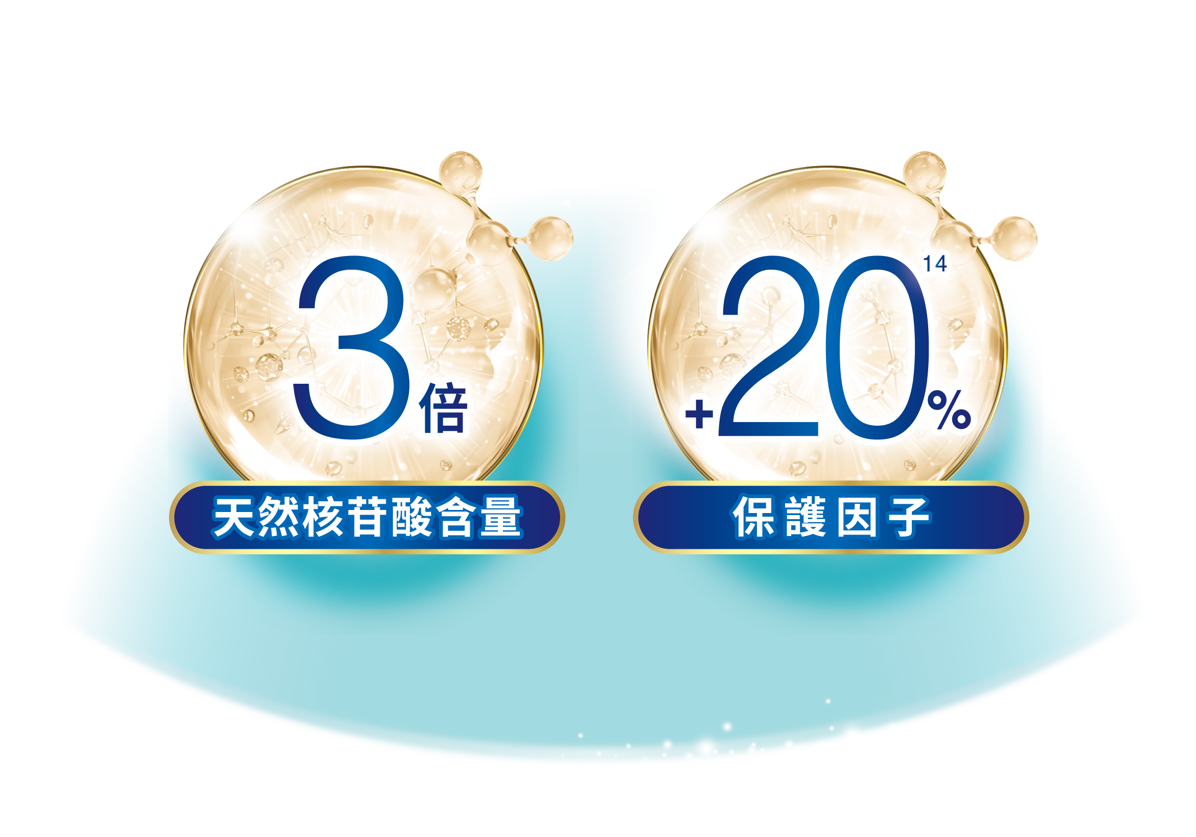 3倍天然核苷酸含量 20%保護因子